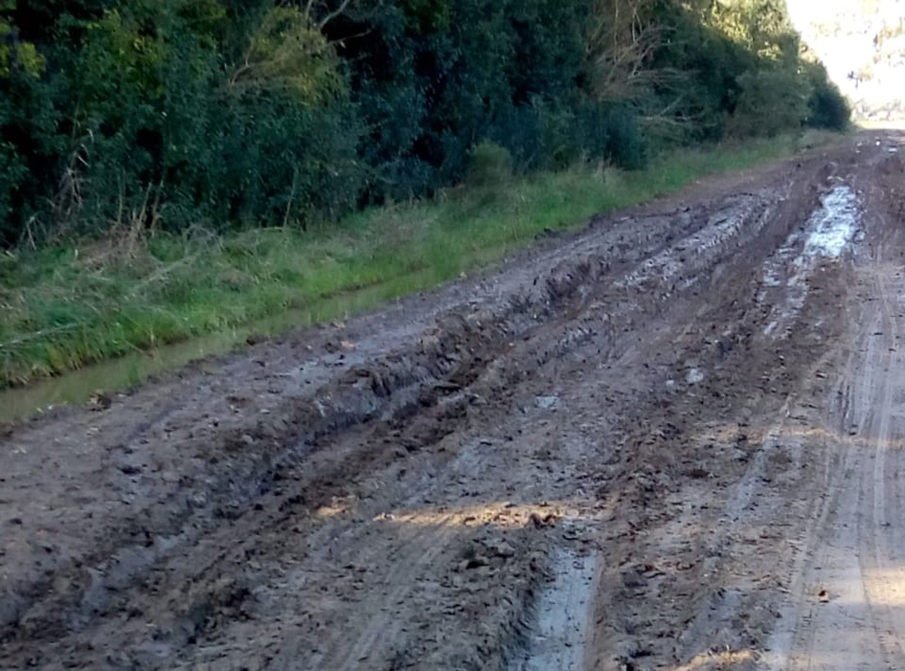 Urgen Reparación de Caminos en Zona Zapoteca-Mixe de Oaxaca: Pobladores Enfrentan Desatención Médica y Altos Precios